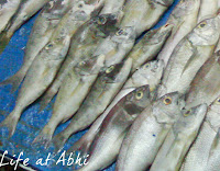 http://2.bp.blogspot.com/_z3-E1nDuOXg/Svh3wfkGUlI/AAAAAAAADig/A3J98t08Wmk/s400/fish+group.jpg