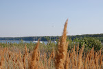 The Beach on Base