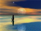 A Star for Casha Monet