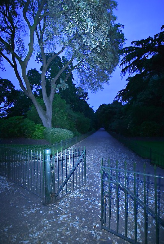 Sanctuaries, Dreams and Shadows The Little Green Orchard by Walter de