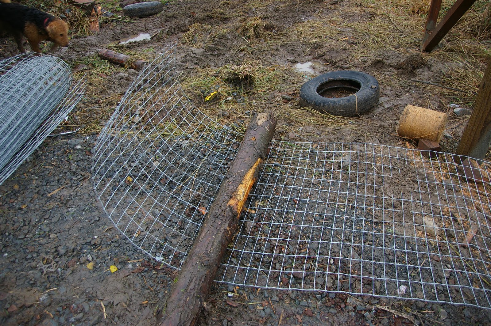 meat Stretching fencing with a tractor and a log