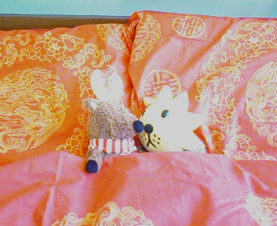 [SumSum&LookLookSleep.jpg]