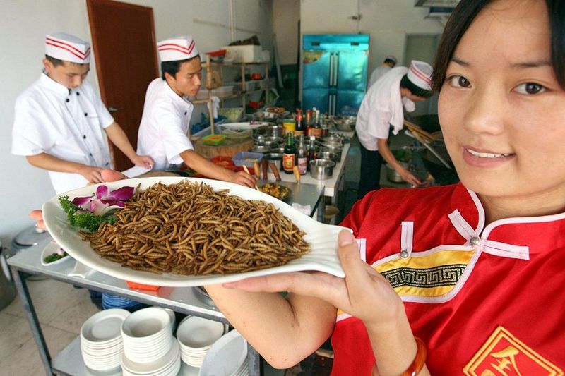 Eating_Insects_For_Food_popgive_6.jpg