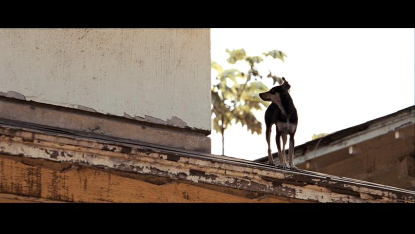 [QUANTUM_OF_SOLACE-46.jpg]