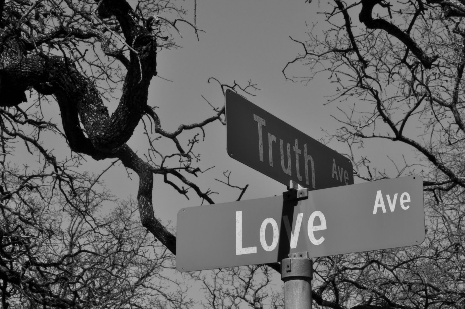 for the love of truth