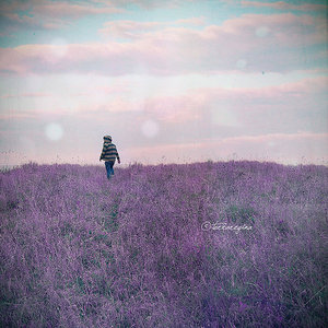 [lavender_by_man_eating_bluebird.jpg]