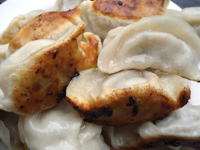 dumplings potstickers
