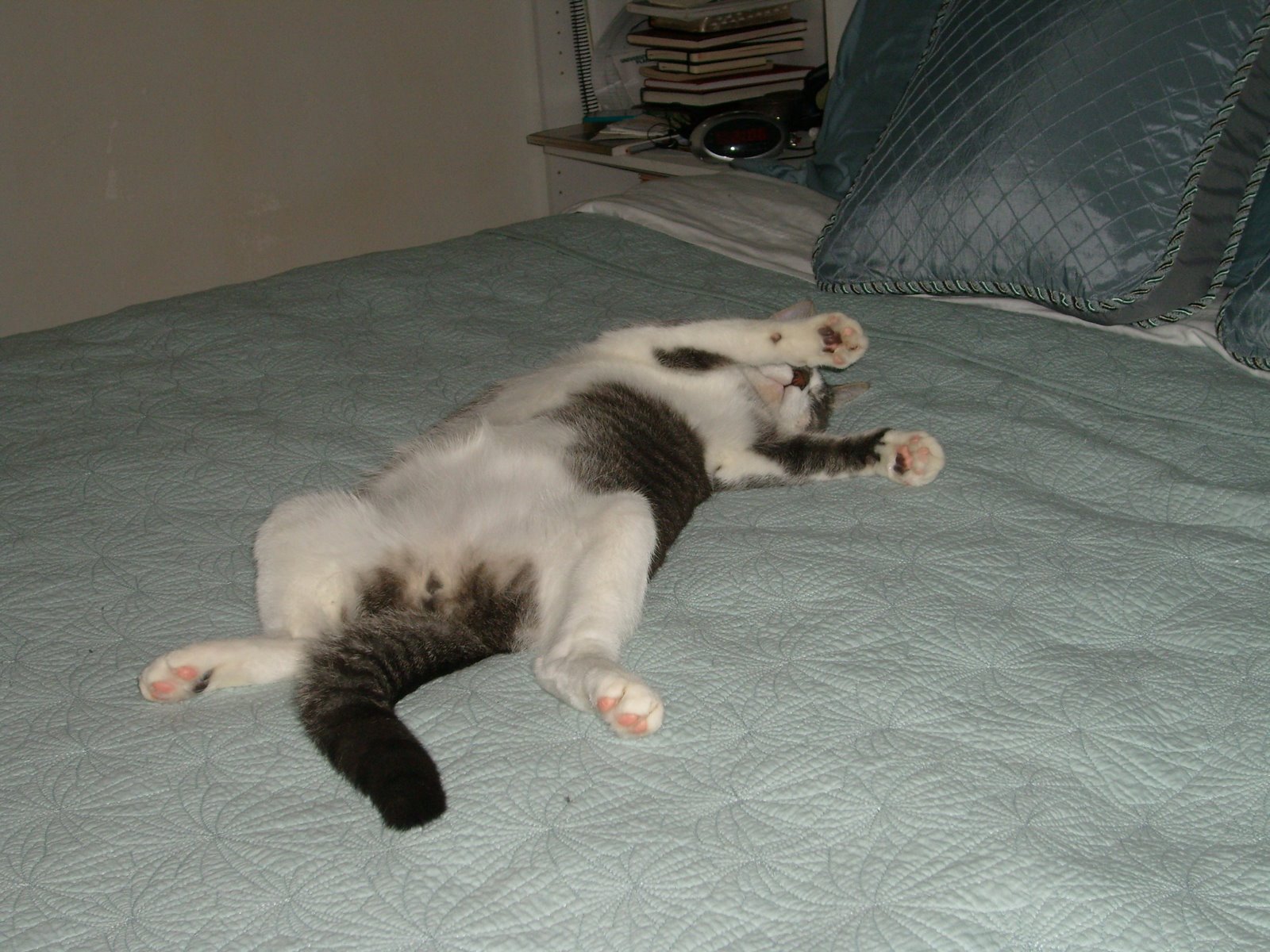 [Winter+2007-08+007.jpg]