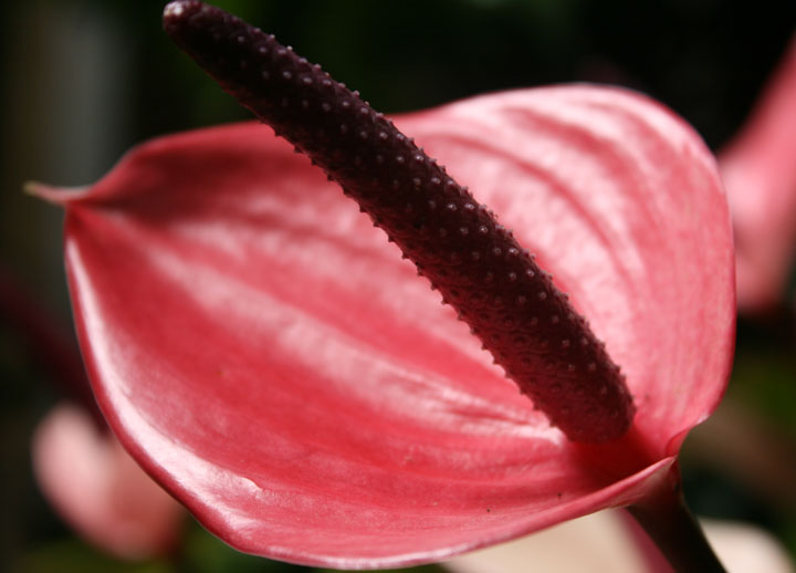 [The+big+move+take+2+199.jpg]