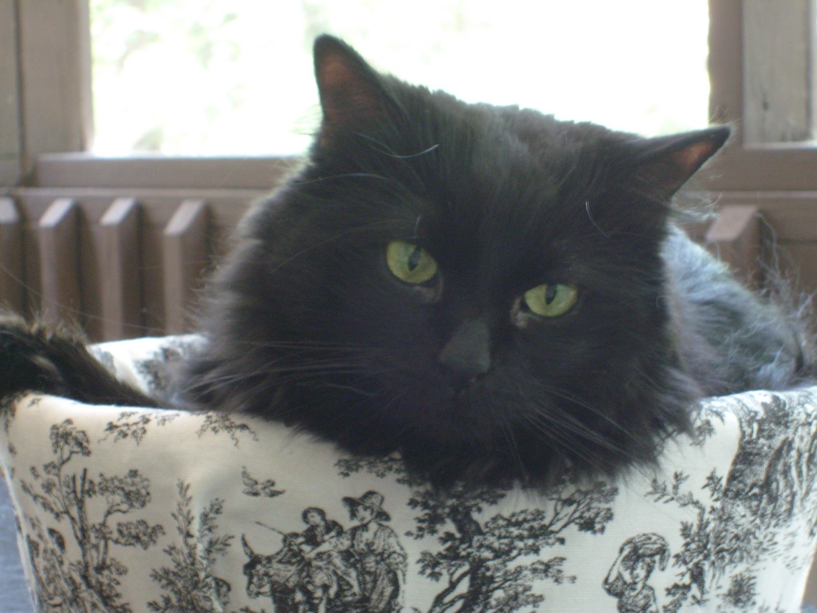 [laptop+backup+065.jpg]