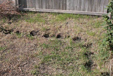 [Copy+of+IMG_8865.jpg]