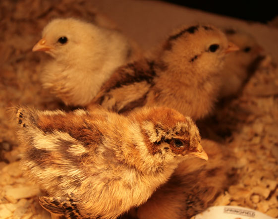 [IMG_9393+changed.jpg]