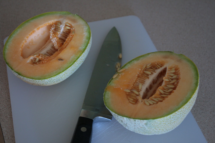 [IMG_0033+smaller.jpg]