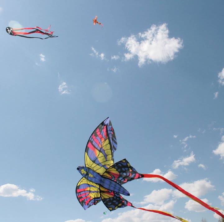 [Utah+September+2009+124.jpg]