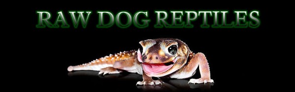 RAW DOG REPTILES