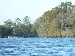 Way Down Upon The Suwannee River - 15 Acres and Over 1100 feet of Suwannee River Frontage!