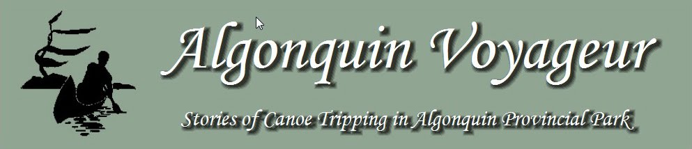 Algonquin Voyageur