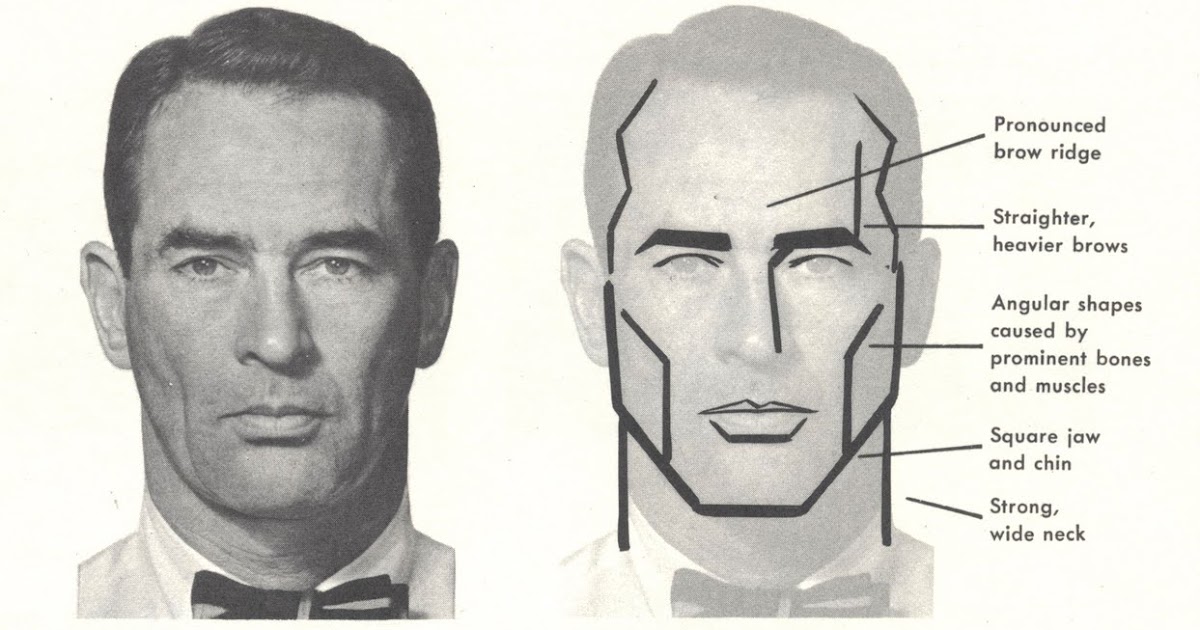 Tips for Drawing Masculine Features