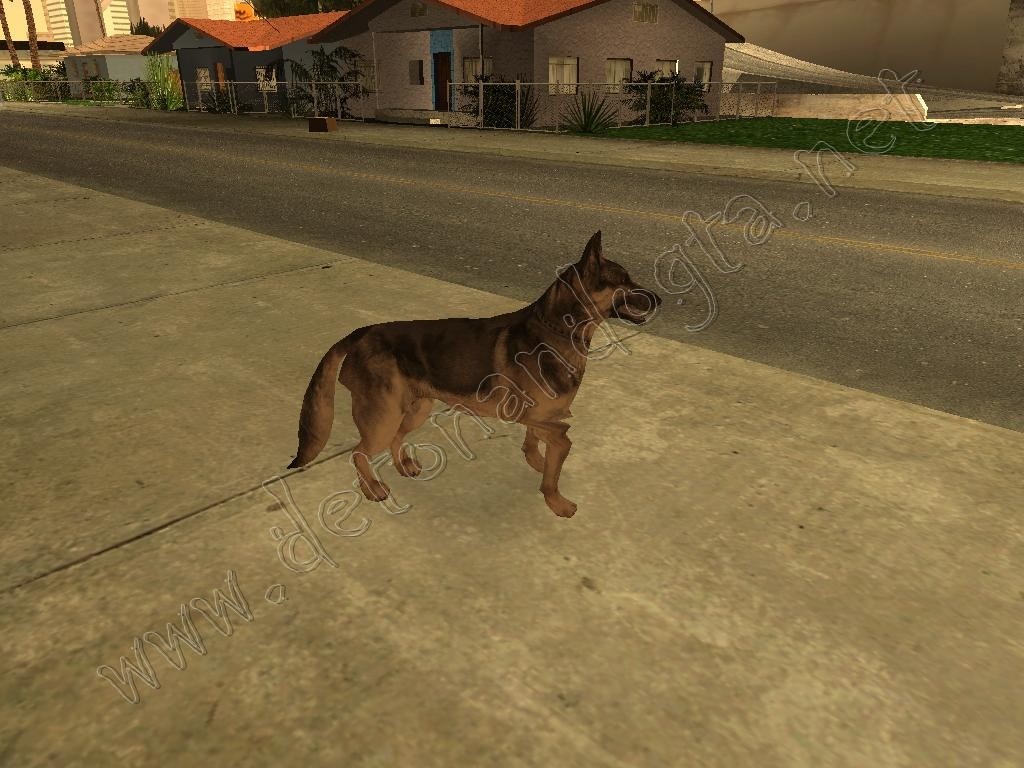 GTA+SA+-+Cachorro+Mod+%5Bwww.detonandogta.net%5D.jpg