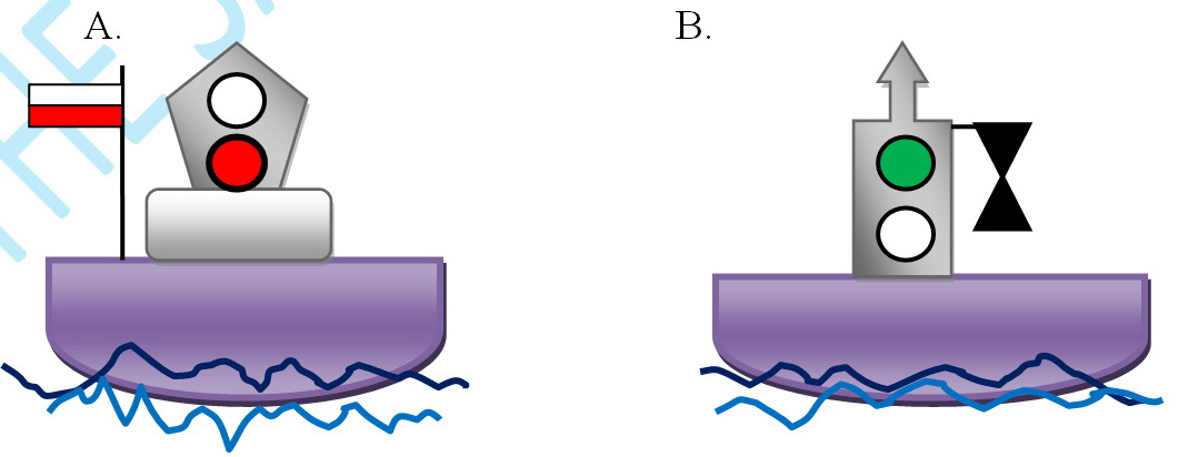 Soal Dinas jaga dan P2TL Tingkat III SMK Pelayaran Soal Dinas jaga dan P2TL Tingkat III SMK Pelayaran
