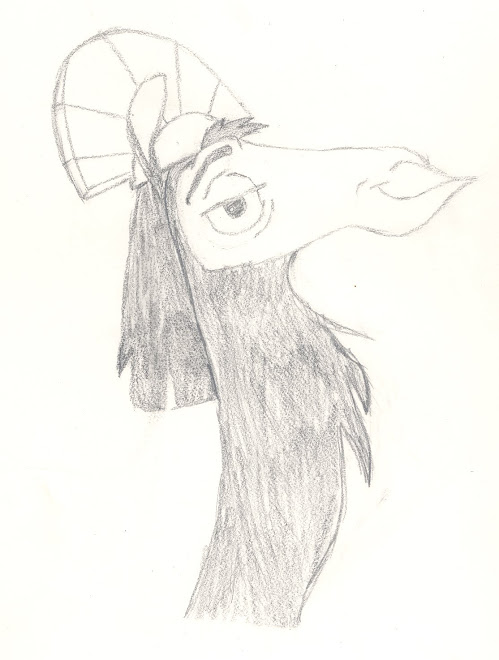 Emperor's New Groove, Scanning 1