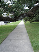 New Orleans City Park (city park )