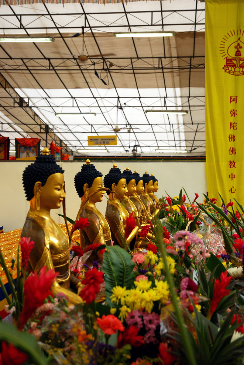 alaninsingapore Vesak Day Celebration in Singapore