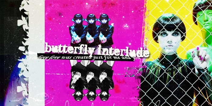 Butterfly Interlude