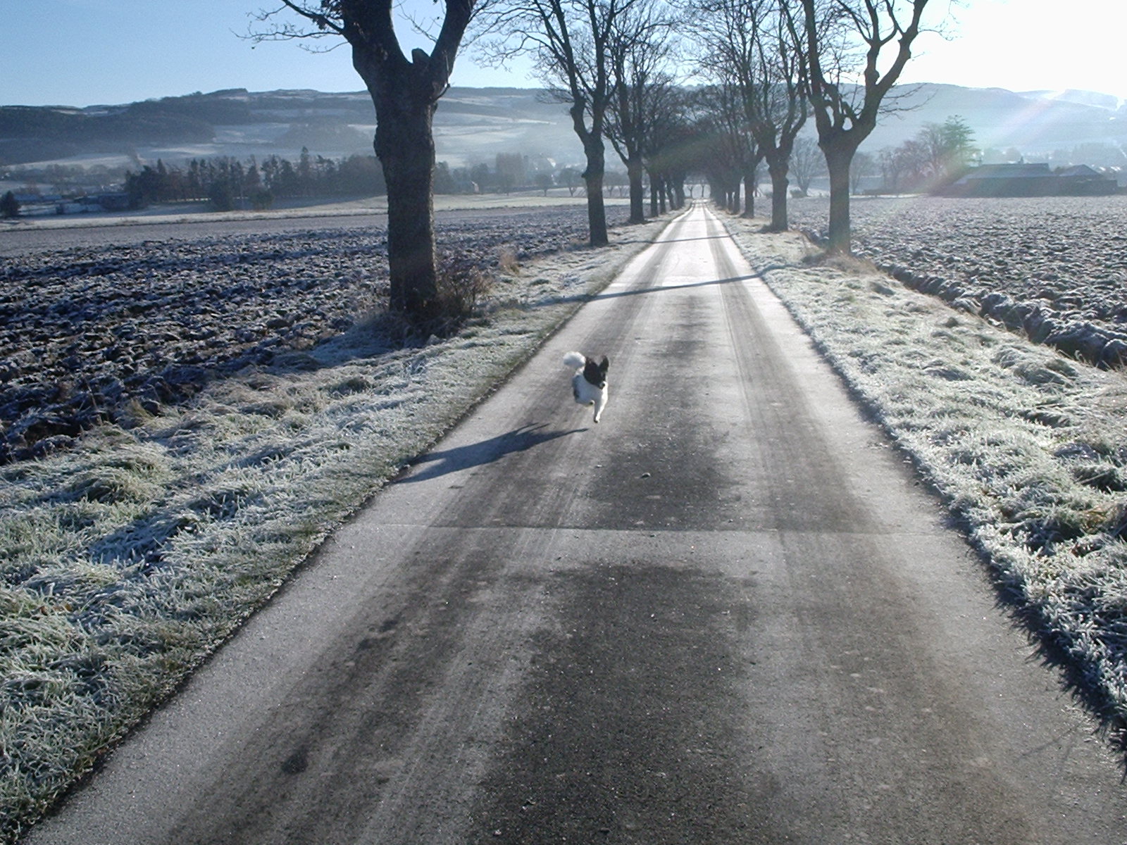 [frost.+Cordon+walk.301108+014.jpg]