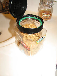 StrootFamily: Naked Potty Training