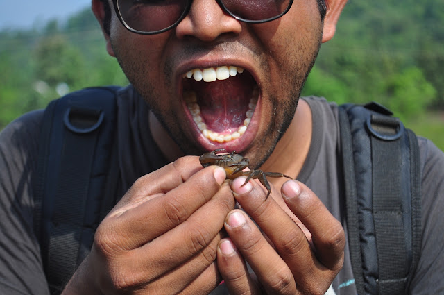 vikram tej kovalakonda NID dediapada gujarat forests jungle tribal area 