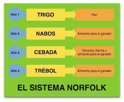 rotacion cultivos norfolk sistema