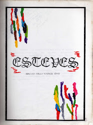 Primeira capa caseira do livro de Verônica Böhme "ESTEVES...nua e crua"