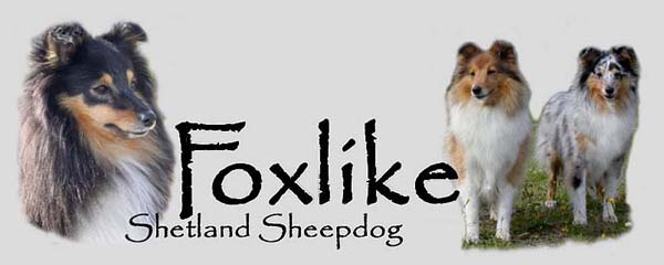 Foxlike