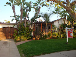 tropical florida landscaping front yard landscape garden backyard yards gardens fl snapshots hollywood cute farm3 2445 flickr