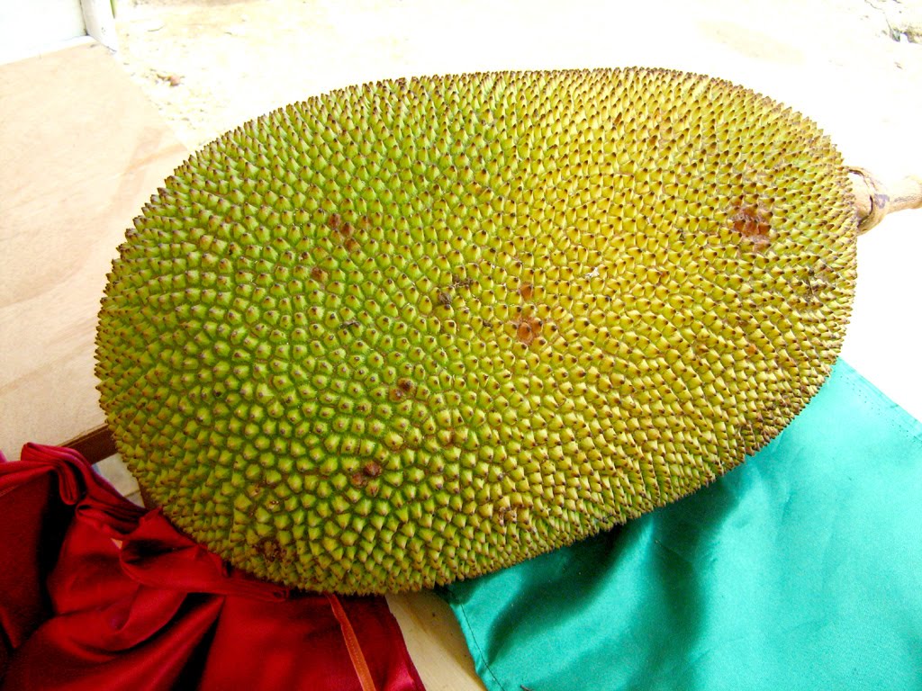 Pinoycity's Fruits and Vegetables Health Benefits JACKFRUIT Health
