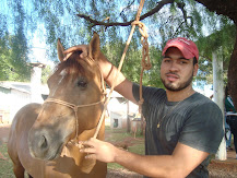 Cavalos " uma Paixão"