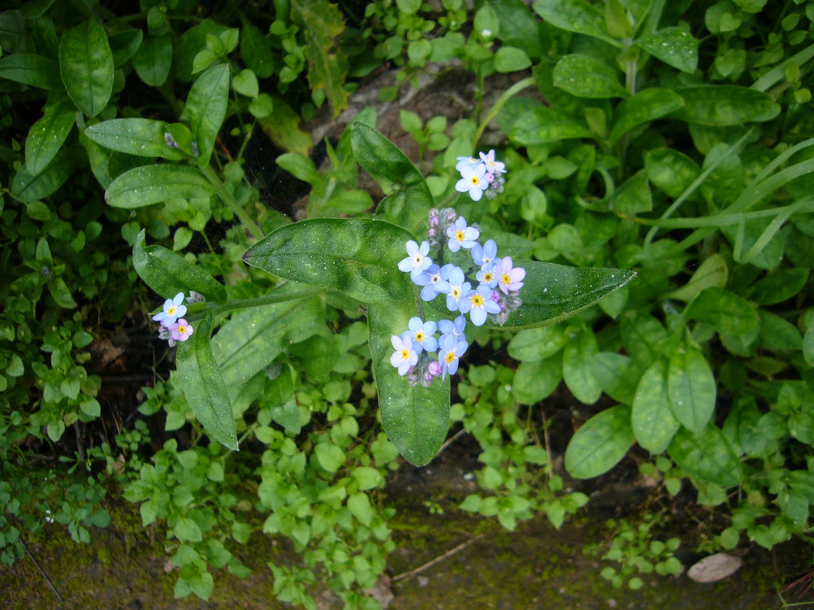[P1070411.JPG]