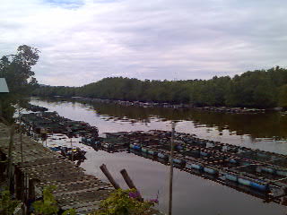 sangkar lauk