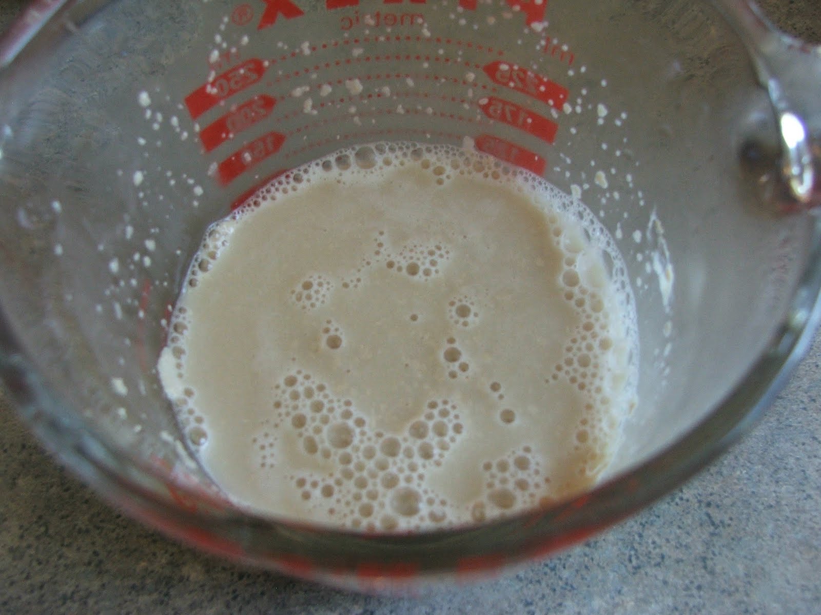 The Breadman's Wife Proofing Yeast