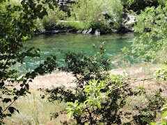 The Rouge River