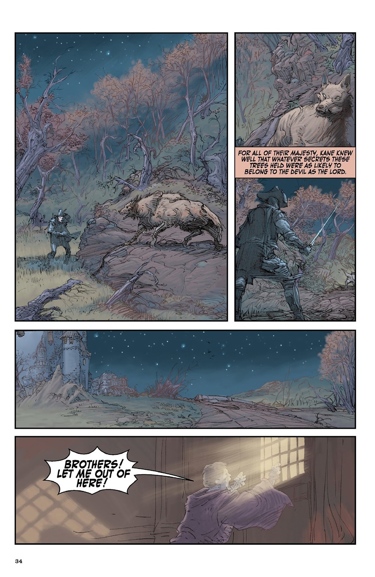 Read online Solomon Kane comic -  Issue # _TPB - 35