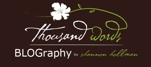 thousand words photography [the blog]