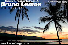 www.lemosimages.com