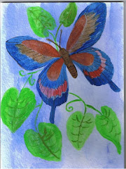 Butterfly Greeting Card