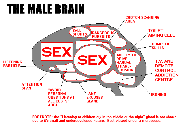 Cerebralis Los Hombres Piensan En El Sexo Tres Veces Más Que Las Mujeres 