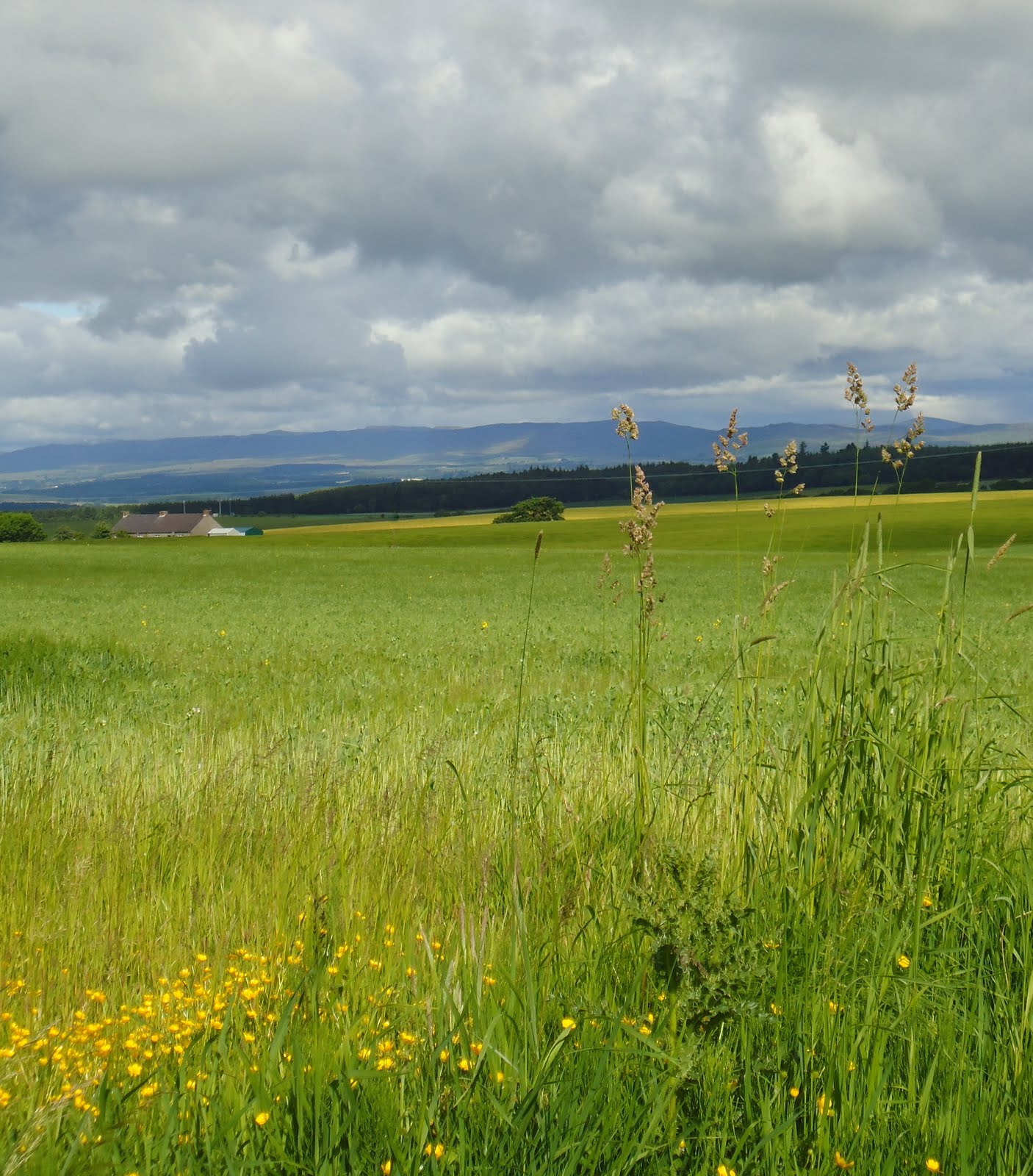 whats the weather in perth for the next 14 days whats the weather in perth for the next 14 days