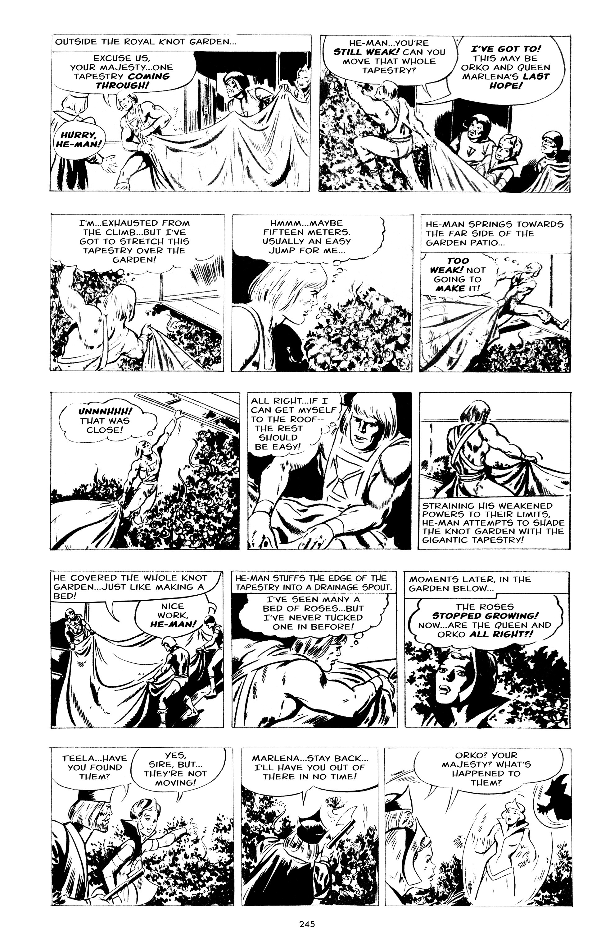 Read online He-Man and the Masters of the Universe: The Newspaper Comic Strips comic -  Issue # TPB (Part 3) - 45