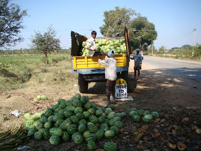 farmers unloading watermelon cargo at a village near Shimoga