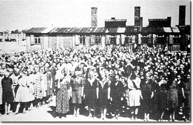 394px x 255px - Sex Jewish Women In Concentration Camps Experiments | Sex Pictures Pass